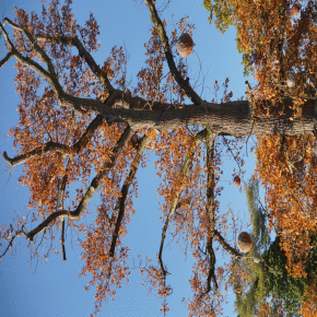 DSC04211.JPG