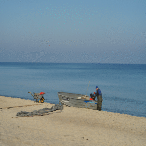 DSC04381.JPG