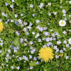 IMGG9208.JPG