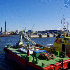 IMGG8755.JPG