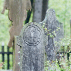 IMGG8610.JPG